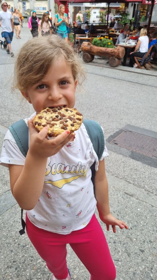 שאמוני והאלפים הצרפתיים